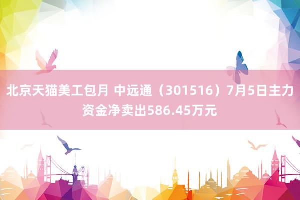 北京天猫美工包月 中远通（301516）7月5日主力资金净卖出586.45万元